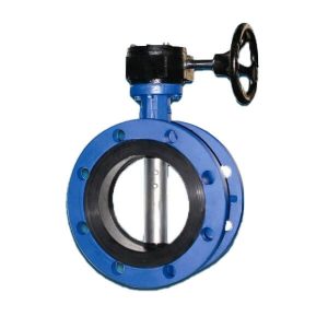 butterfly valve double flange